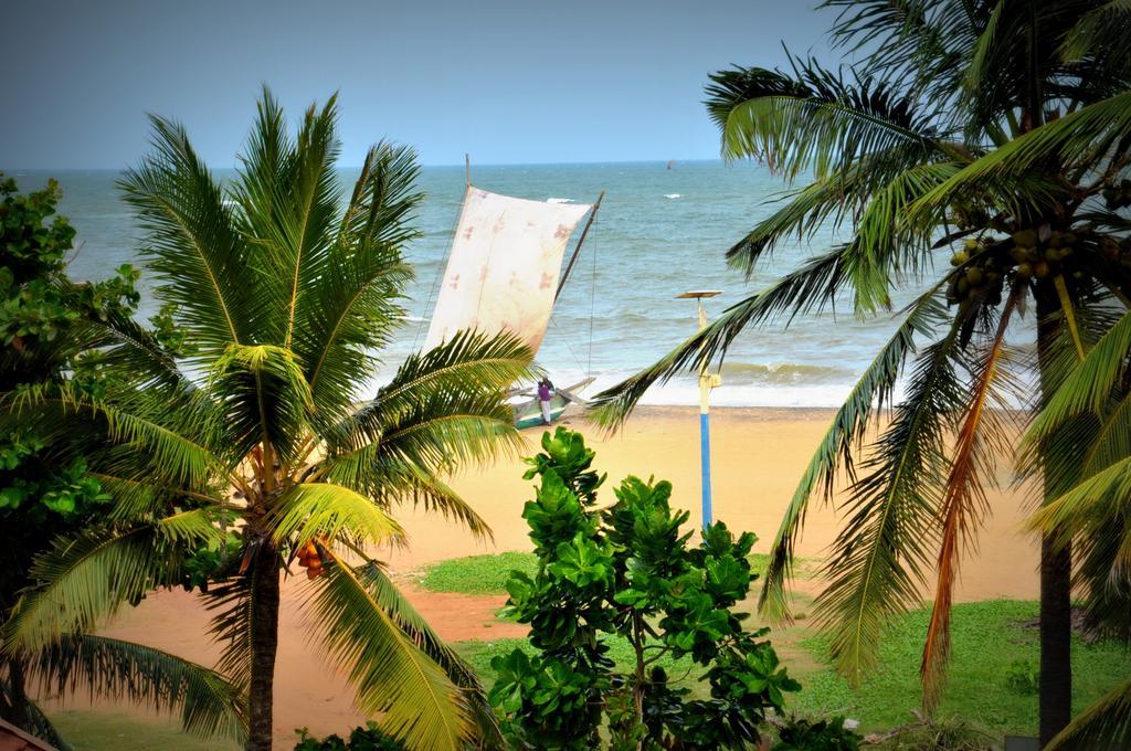 Blumarine Guest House Negombo Exterior foto